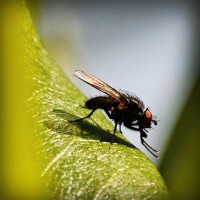 /album/argazkiak-zear-sal/photolia-a04-jpg/
